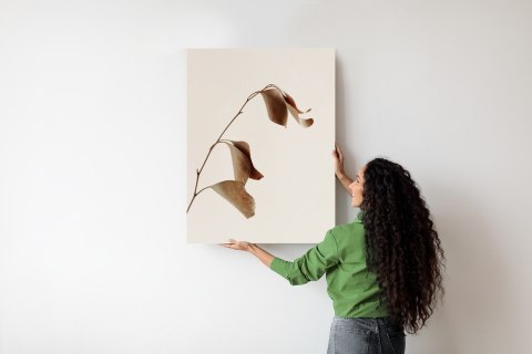 Plakat Beżowy Suchy Eukaliptus