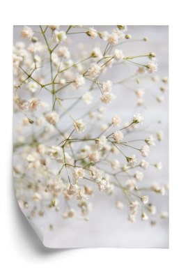 Plakat Białe Drobne Kwiatki Na Cienkich Gałązkach