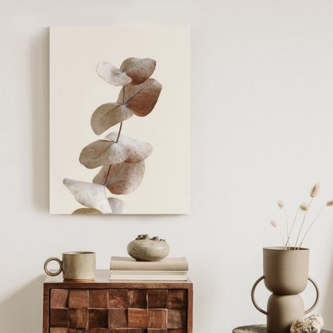 Plakat Gałązka Z Suchymi Liśćmi Eukaliptusa