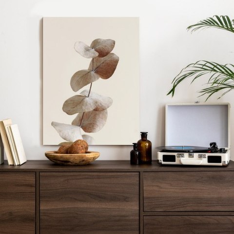 Plakat Gałązka Z Suchymi Liśćmi Eukaliptusa