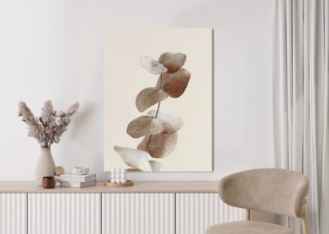 Plakat Gałązka Z Suchymi Liśćmi Eukaliptusa