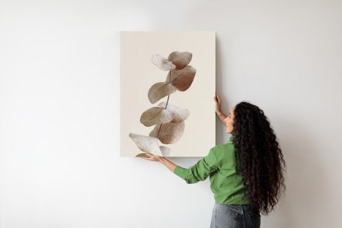 Plakat Gałązka Z Suchymi Liśćmi Eukaliptusa