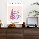 Plakat Koralowce Matisse