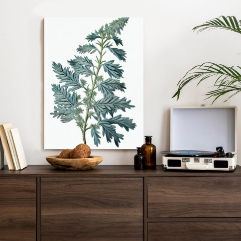 Plakat Liść Szałwii