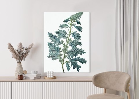 Plakat Liść Szałwii