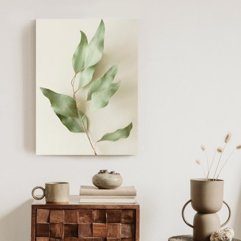 Plakat Suche Liście Eukaliptusa