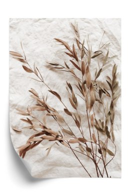 Plakat Suche Liście Eukaliptusa