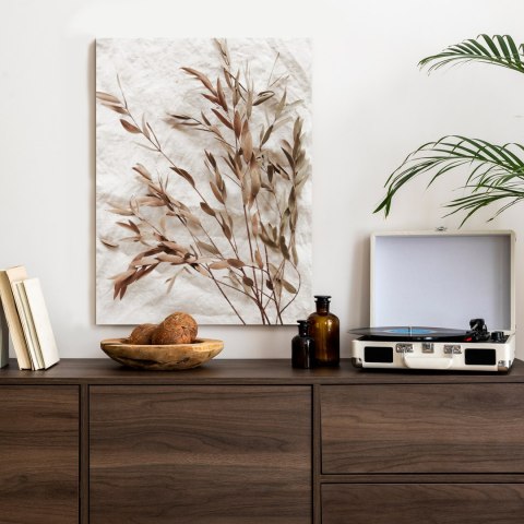 Plakat Suche Liście Eukaliptusa