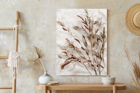 Plakat Suche Liście Eukaliptusa