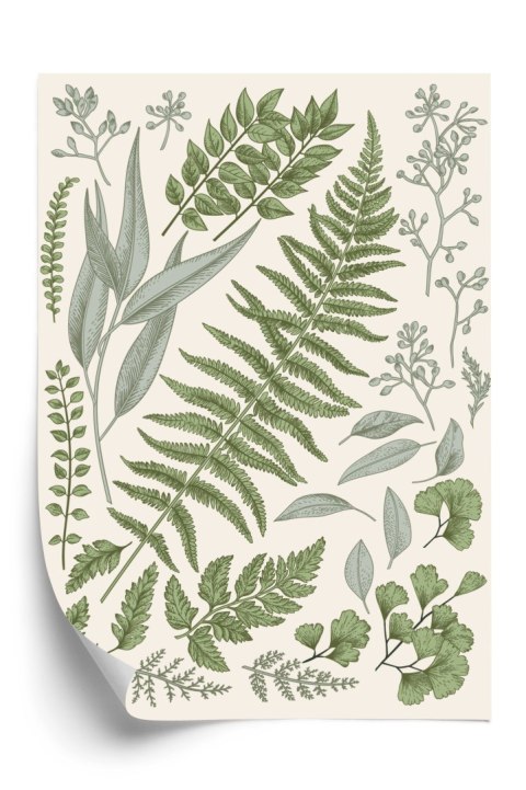 Plakat Zestaw Liści Na Starym Papierze