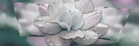 Biały Kwiat i Turkusowa Głębia – Fototapeta 3D do Sypialni i Salonu na wymiar