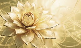 Złoty Lotos Glamour – Fototapeta 3D do Salonu i Sypialni na wymiar