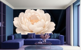 Biała ,piwonia na granatowym aksamitnym tle - fototapeta w salonie