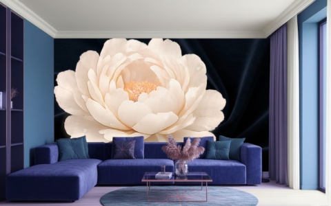 Biała ,piwonia na granatowym aksamitnym tle - fototapeta w salonie