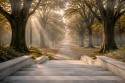 Fototapeta 3D Widok z Tarasu na Park, Marmurowe Schody w Dół, Tapeta Powiększająca Wnętrze, Luksusowy Widok na Ogród i Mgłę
