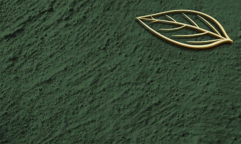 Fototapeta Premium Tekstura Tynku: Złoty Liść - Morski Petrol