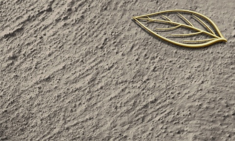 Fototapeta Premium Tekstura Tynku: Złoty Liść - Ciemny Grafit