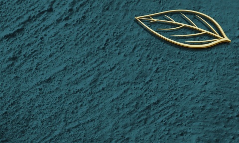 Fototapeta Premium Tekstura Tynku: Złoty Liść - Ciemny Grafit