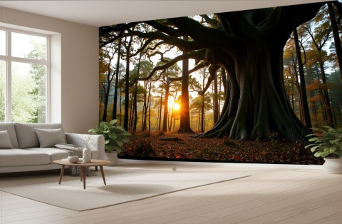 Fototapeta Stary Dąb i Zachód Słońca – Mural Las Mglisty, Wielkie Drzewo 3D, Dekoracja Ścienna Natura do Salonu i Sypialni