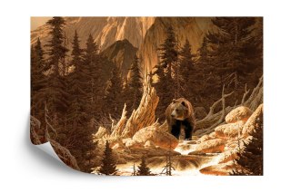 Fototapeta Niedźwiedź W Górach
