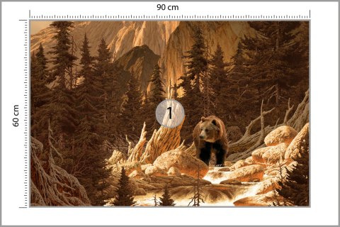Fototapeta Niedźwiedź W Górach