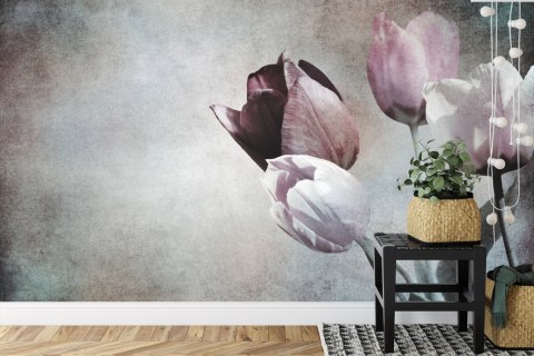 Fototapeta Tulipany W Stylu Vintage