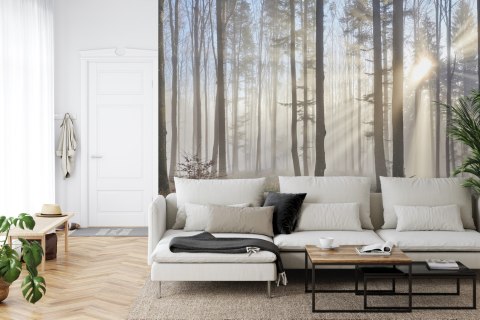 Fototapeta Las We Mgle