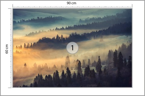 Fototapeta Las We Mgle