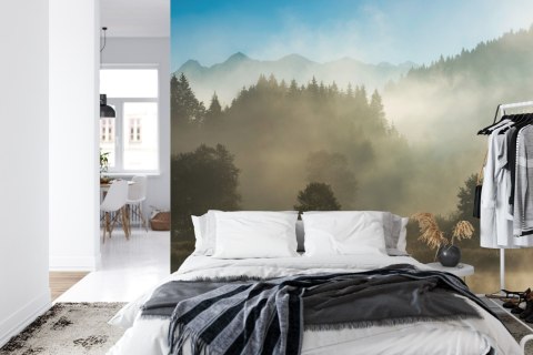 Fototapeta Las We Mgle