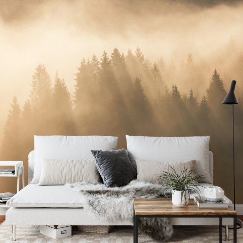 Fototapeta Las We Mgle