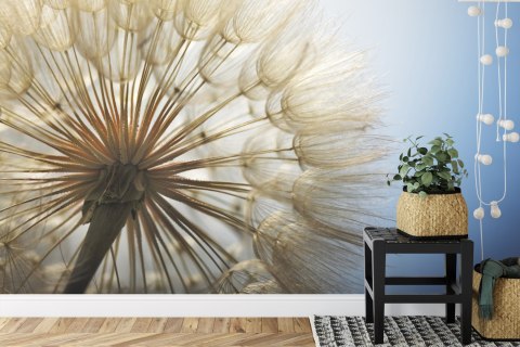 Fototapeta Dmuchawiec 3D