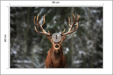 Fototapeta Jeleń W Lesie