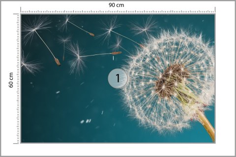 Fototapeta Optyczna Dmuchawiec