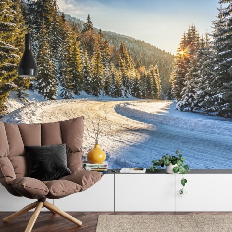 Fototapeta Zimowy Las