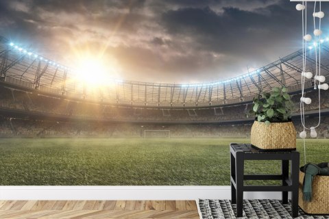 Fototapeta Boisko Stadion Piłka Nożna