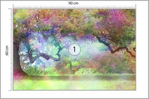Fototapeta Magiczny Kolorowy Las