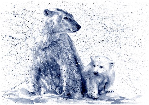 Fototapeta Niedźwiedzie Polarne