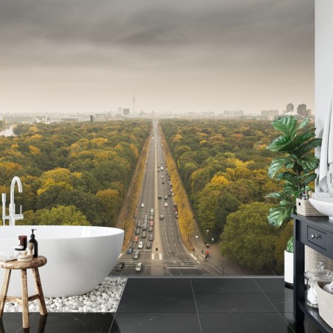 Fototapeta Berlin Z Oddali