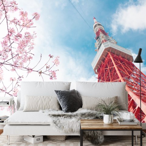 Fototapeta Tokyo Tower Na Tle Nieba