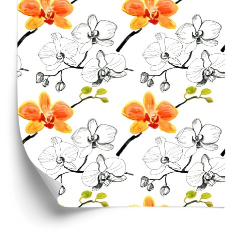 Tapeta Do Salonu Kwiaty Storczyki Orchidea Natura