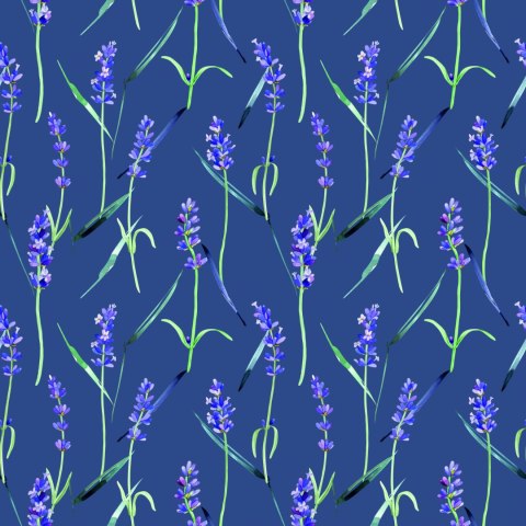 Tapeta Kwiaty Lawendy