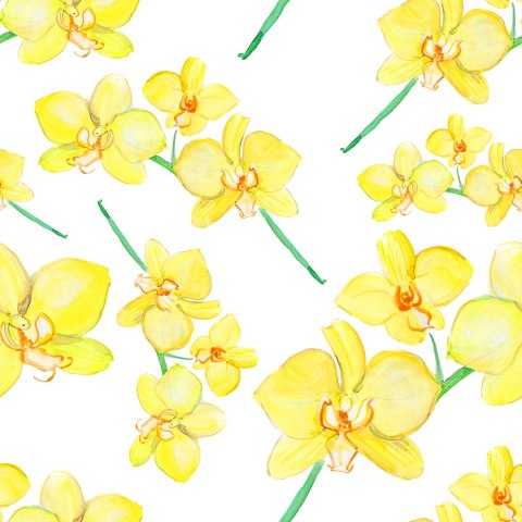 Tapeta Kwiaty Rośliny Storczyki Natura Do Salonu