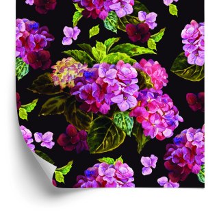 Tapeta Piwonie Z Zielonymi Liśćmi